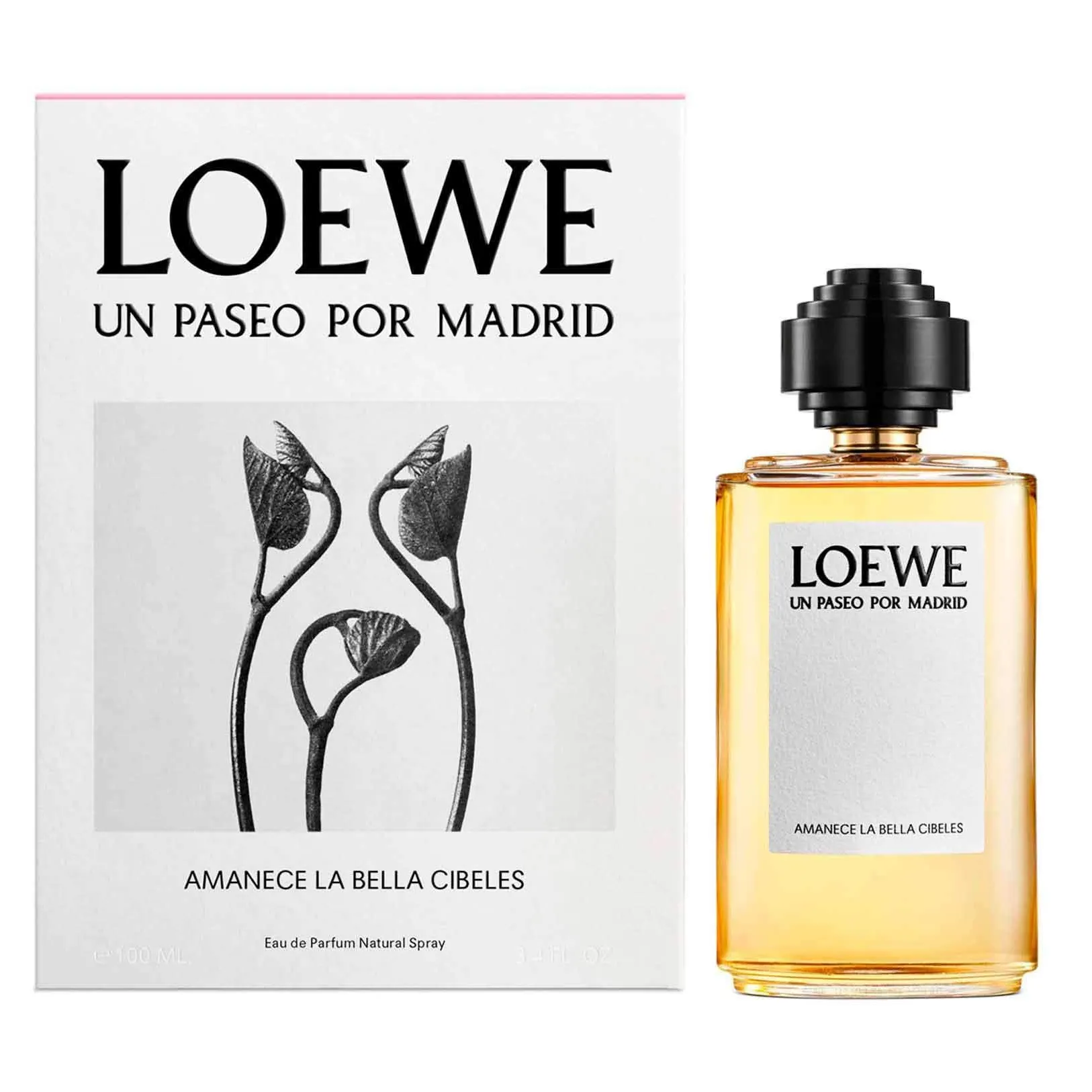 Amanece La Bella Cibeles by Loewe 100ml EDP