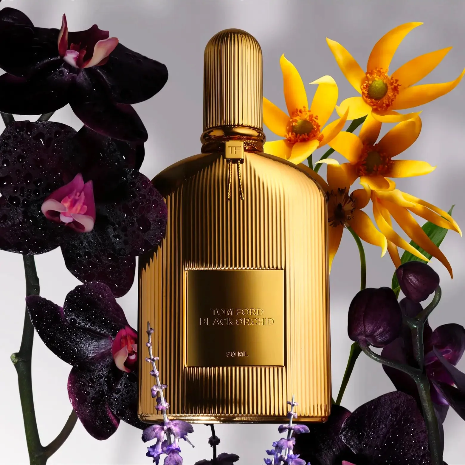 Black Orchid Parfum 3.4 oz unisex