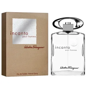 Incanto by Salvatore Ferragamo 100ml EDT for Men