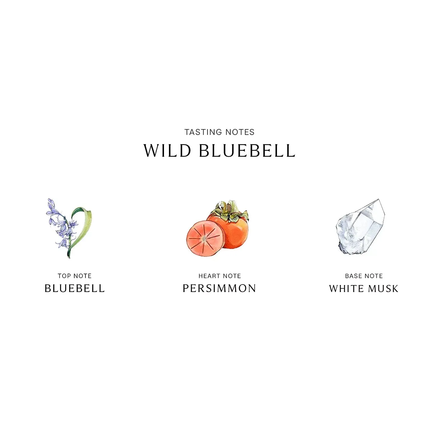 Jo Malone Wild Bluebell 3.4 oz Cologne