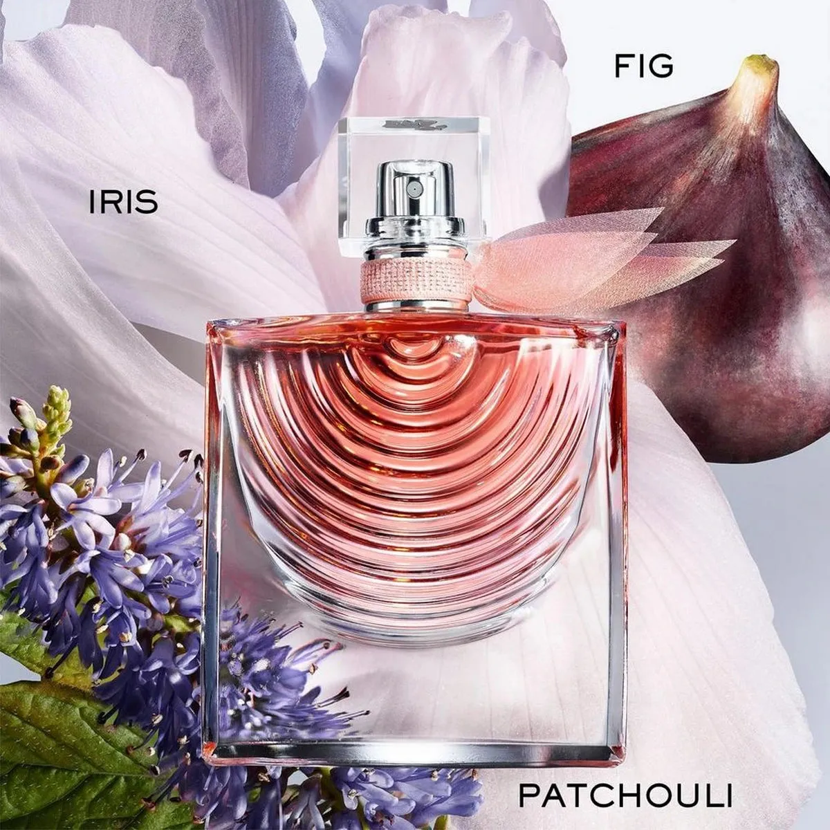 La Vie Est Belle Iris Absolu 3.4 oz EDP for women