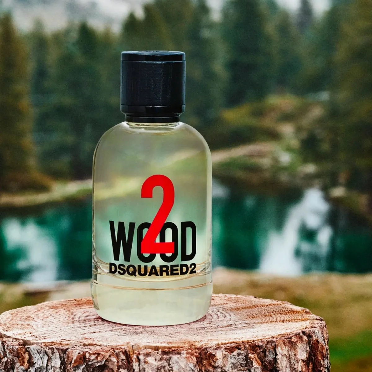 WOOD 2 3.4 oz EDT Unisex